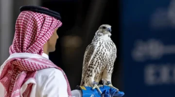 صقور نادرة بصفقة تقترب من مليون ريال تشعل معرض الصقور والصيد السعودي